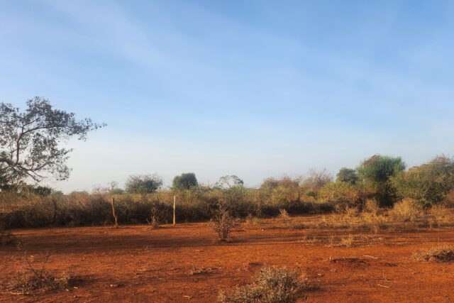 Prime farmland / Ranch for Sale