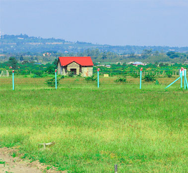 Land, Plot